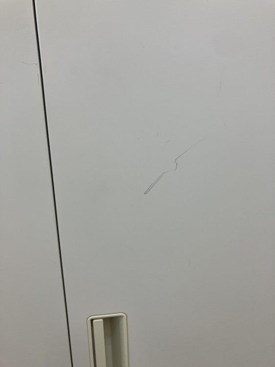 ナイキ両開き書庫 商品画像6