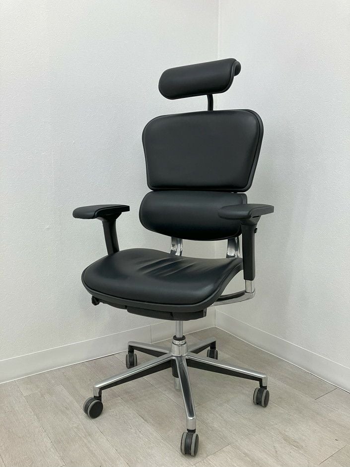 エルゴヒューマン可動肘付ベーシックチェア 商品画像1