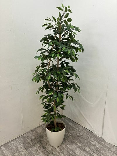 フェイクグリーン 商品画像1