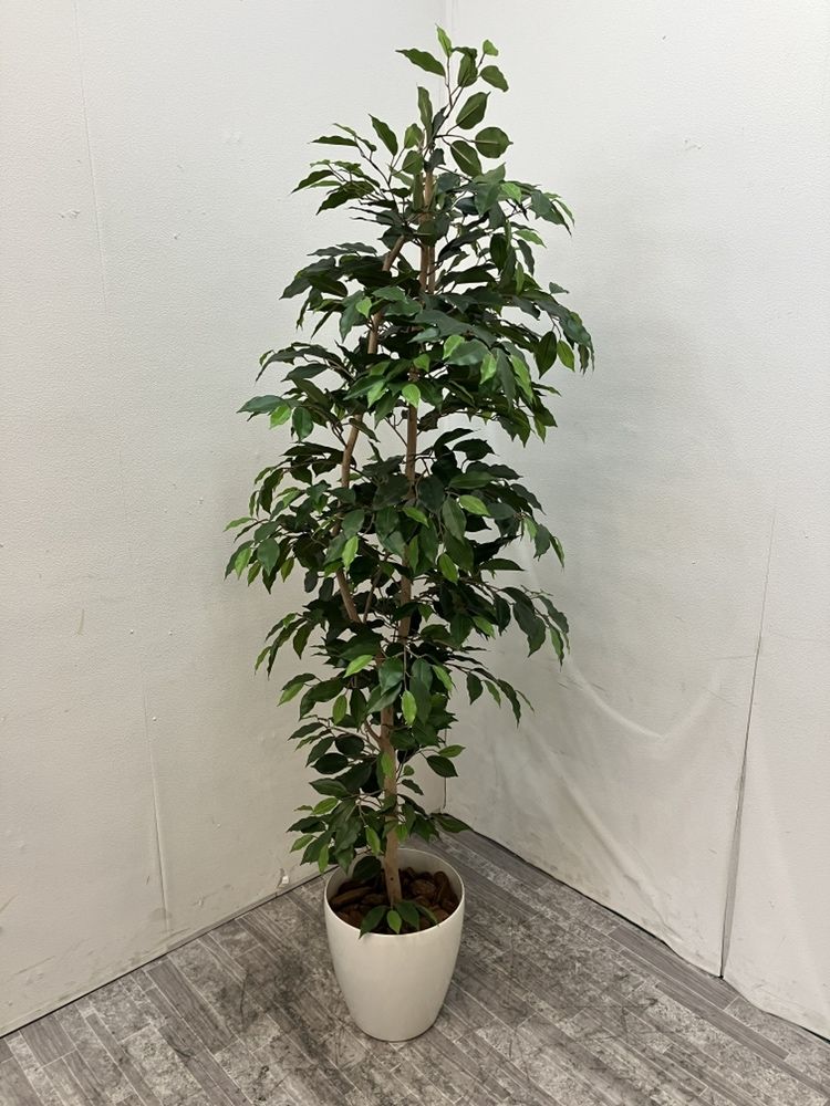 フェイクグリーン 商品画像1