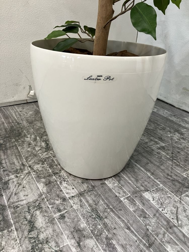 フェイクグリーン 商品画像3