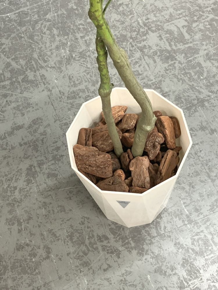 ウチダ（内田洋行）人工植物 商品画像5