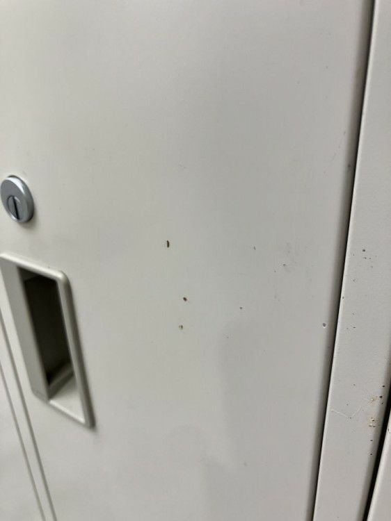 コクヨLKシリーズ　（コクヨ） 8人用ロッカー 商品画像5