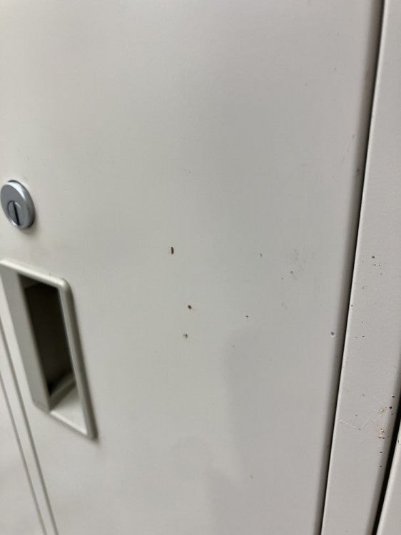 コクヨLKシリーズ　（コクヨ） 8人用ロッカー 商品画像5