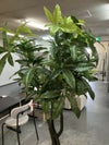 人工植物 商品画像5