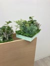 コクヨGreen-for work space-シリーズ プランターボックス(人工植物) 商品画像11
