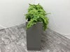 イトーキプランター 商品画像3