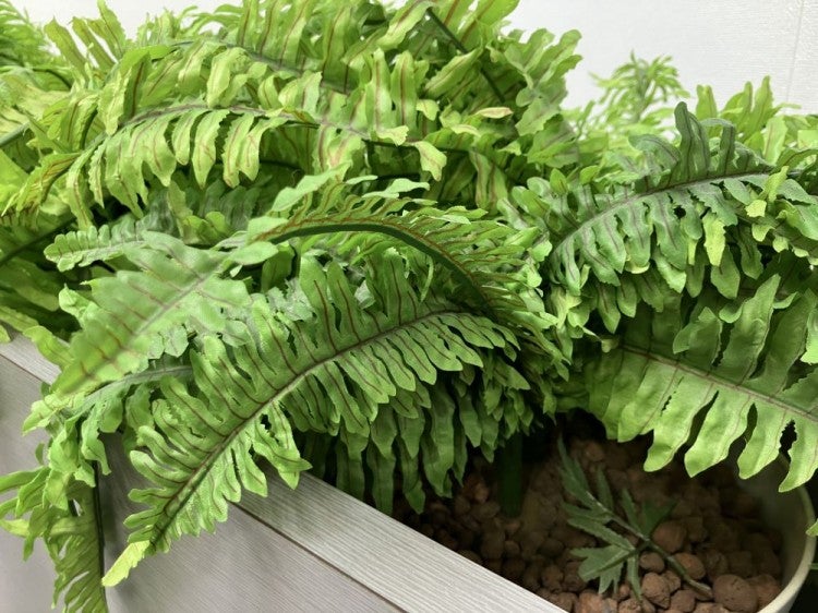 イトーキプランター 商品画像6