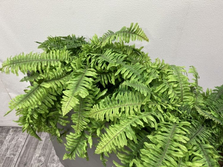 イトーキプランター 商品画像8