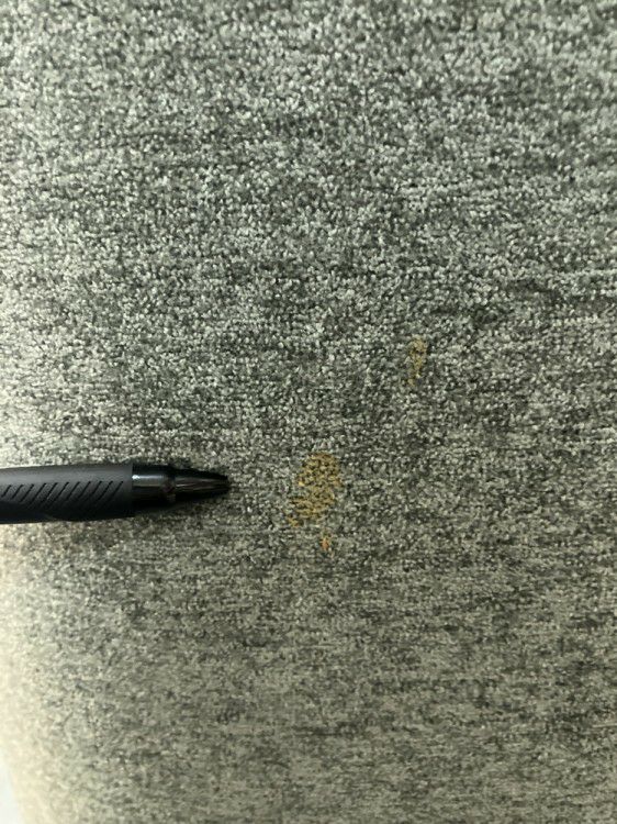 Soothe(スーズ)シリーズ ベンチ 商品画像8