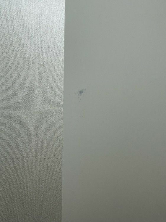 オカムラレクトラインシリーズ 両開き上下書庫2台セット 商品画像15