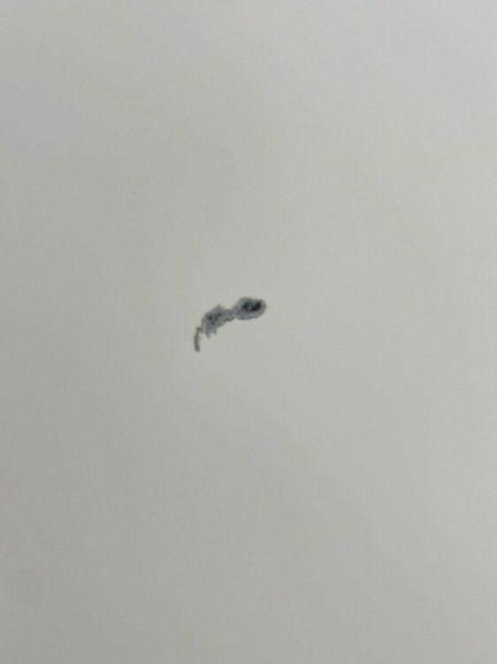 ウチダ（内田洋行）HS(ハイパーストレージ)シリーズ スライド書庫 商品画像15