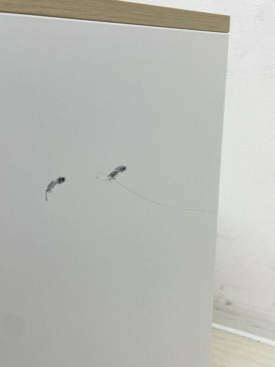 ウチダ（内田洋行）HS(ハイパーストレージ)シリーズ スライド書庫 商品画像16