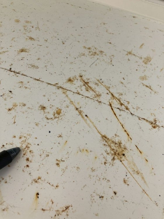 中量棚 商品画像10