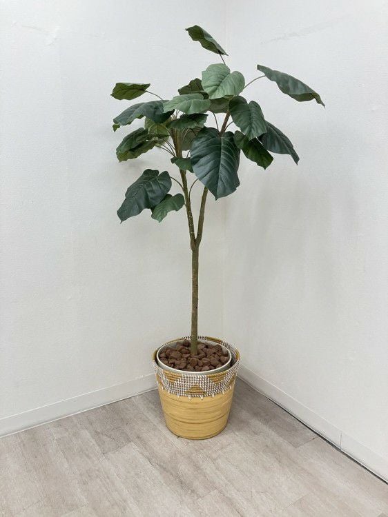 コクヨイングリーンシリーズ プラントボックス 商品画像6