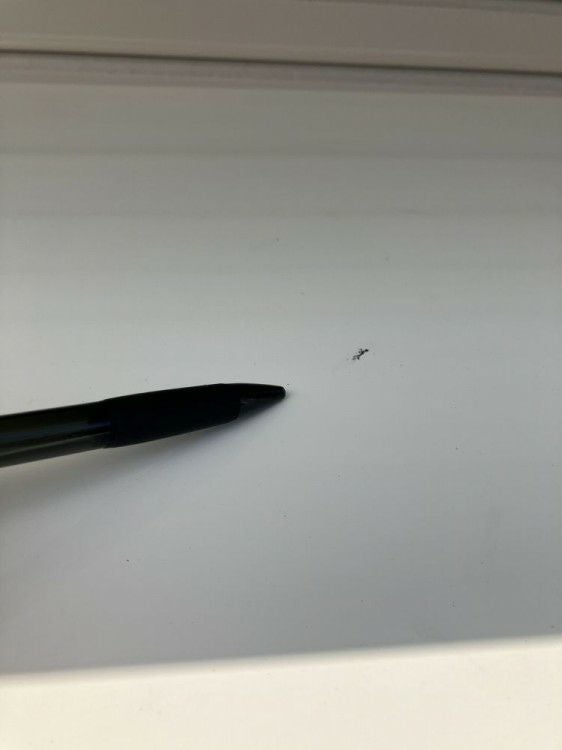 オカムラ6Jシリーズ 中軽量棚 商品画像9