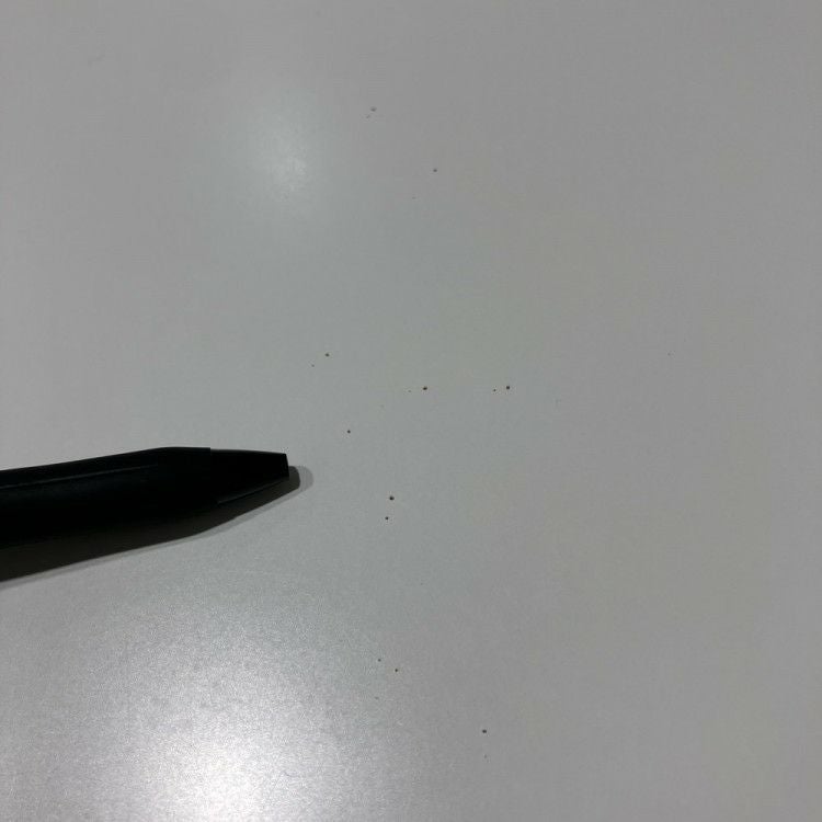 コクヨアリーナT（ALINA/T）シリーズ ミーティングテーブル 商品画像10