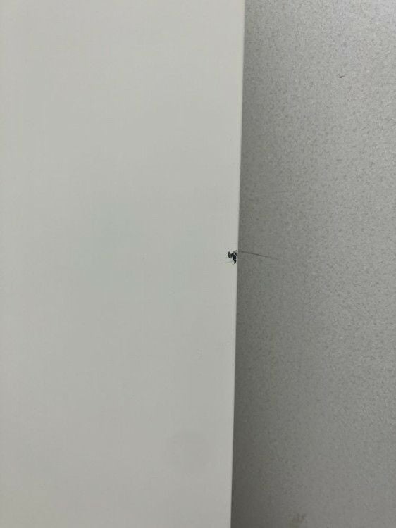 オカムラレクトラインシリーズ 天板付両開き書庫 商品画像9