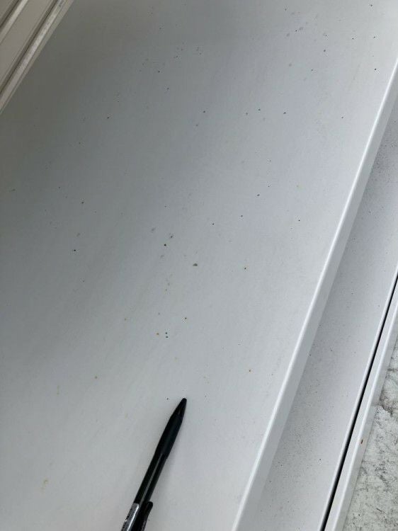 イトーキ中軽量棚 商品画像9