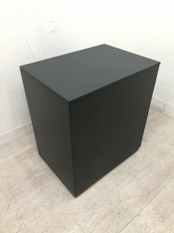 アイリスチトセインワゴン 商品画像6