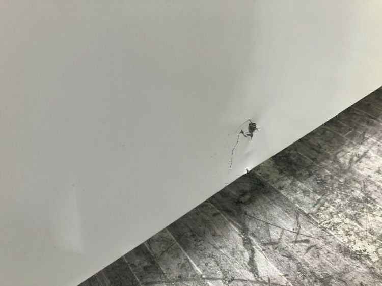 プラスフラットラインシリーズ 1800平デスク 商品画像6