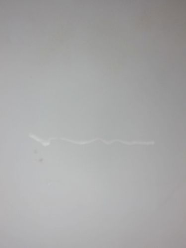 arper（アルペール）肘付きキャティファチェア 商品画像9