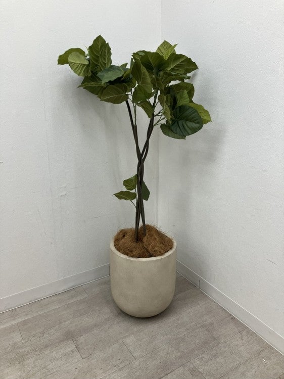 フェイクグリーン 商品画像1