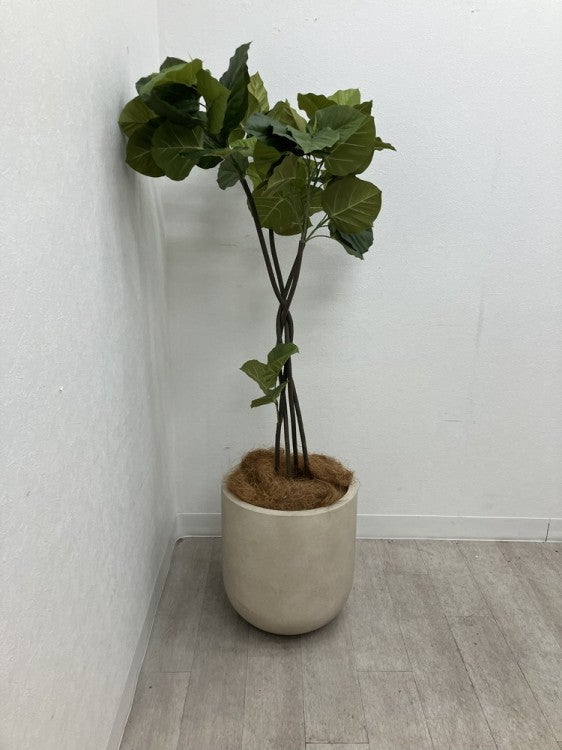 フェイクグリーン 商品画像2