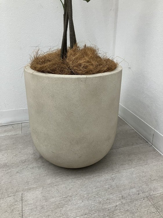 フェイクグリーン 商品画像3