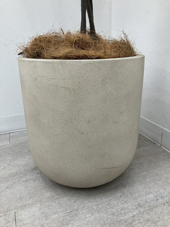 フェイクグリーン 商品画像4