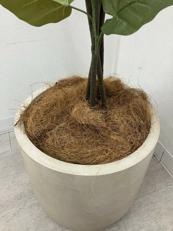 フェイクグリーン 商品画像5