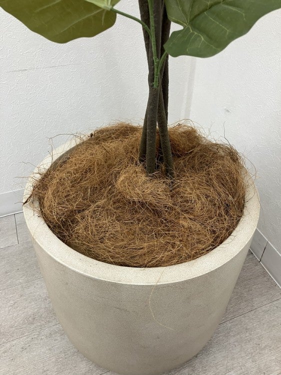 フェイクグリーン 商品画像5