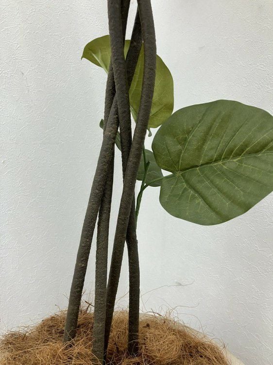 フェイクグリーン 商品画像6