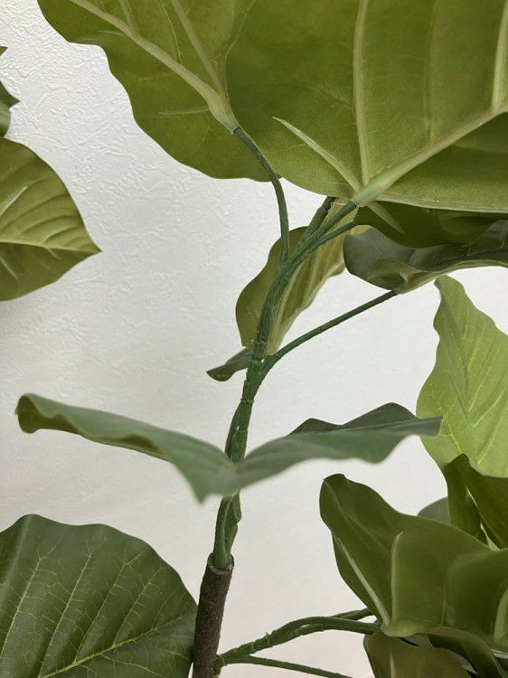 フェイクグリーン 商品画像8