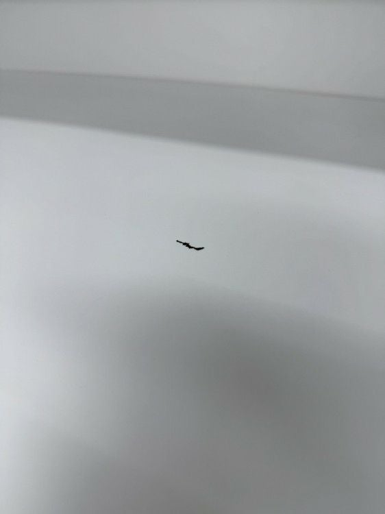 コクヨ両開き上下書庫 商品画像8