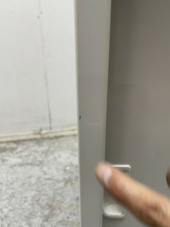 SEIKO/セイコースライド書庫 商品画像10