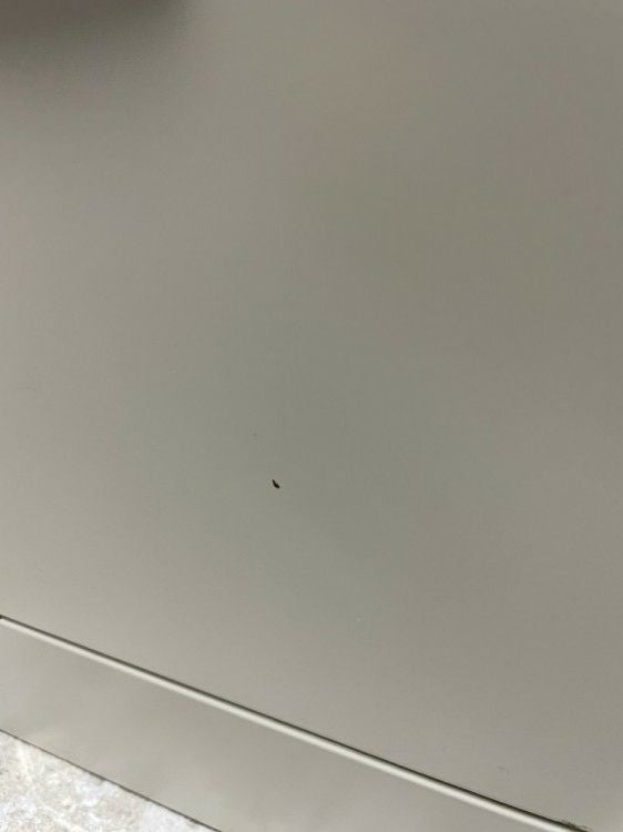 SEIKO/セイコーSLBシューズロッカーシリーズ 24人用シューズロッカー 商品画像9