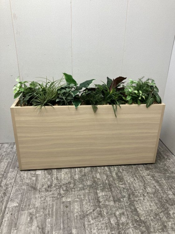 コクヨプランター 商品画像1