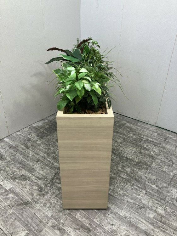 コクヨプランター 商品画像3