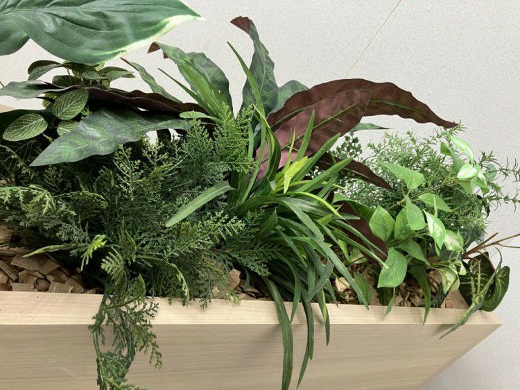 コクヨプランター 商品画像5