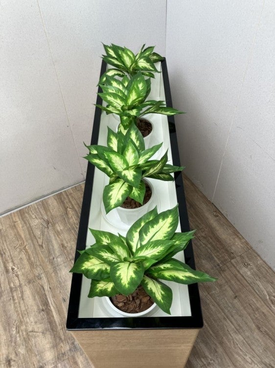 プランターボックス 商品画像7