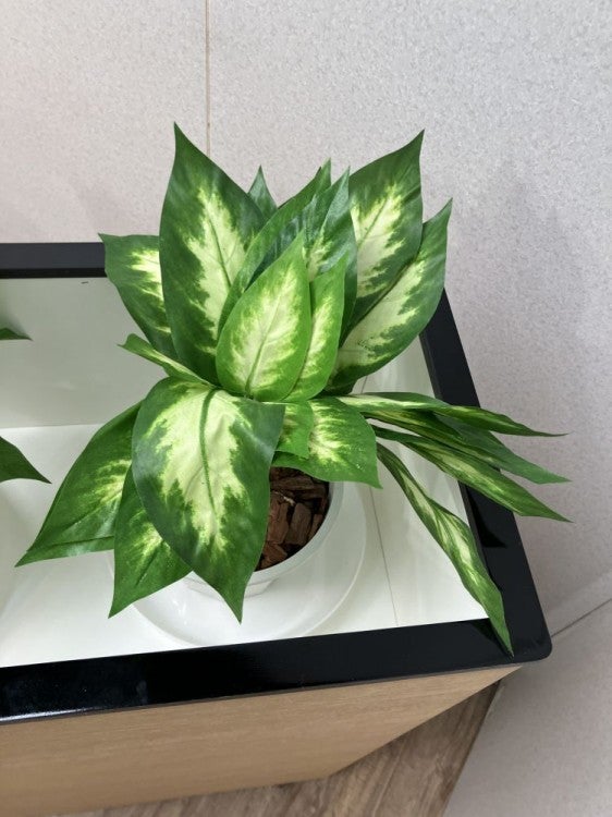 プランターボックス 商品画像9