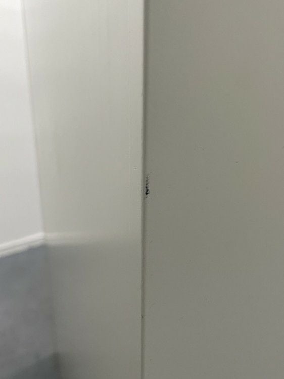 ライオン4人用ロッカー 商品画像15