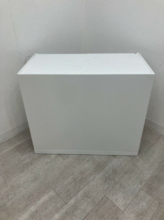 ナイキCW型シリーズ 両開き書庫 商品画像4