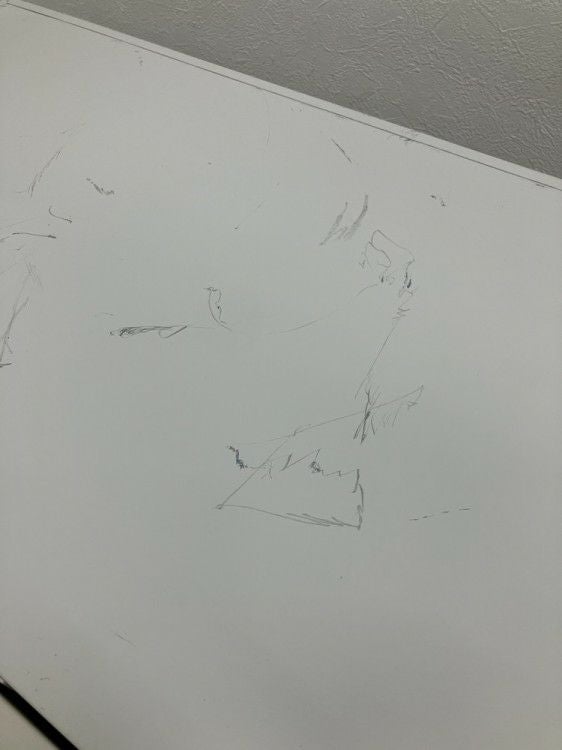 ナイキCW型シリーズ 両開き書庫 商品画像7