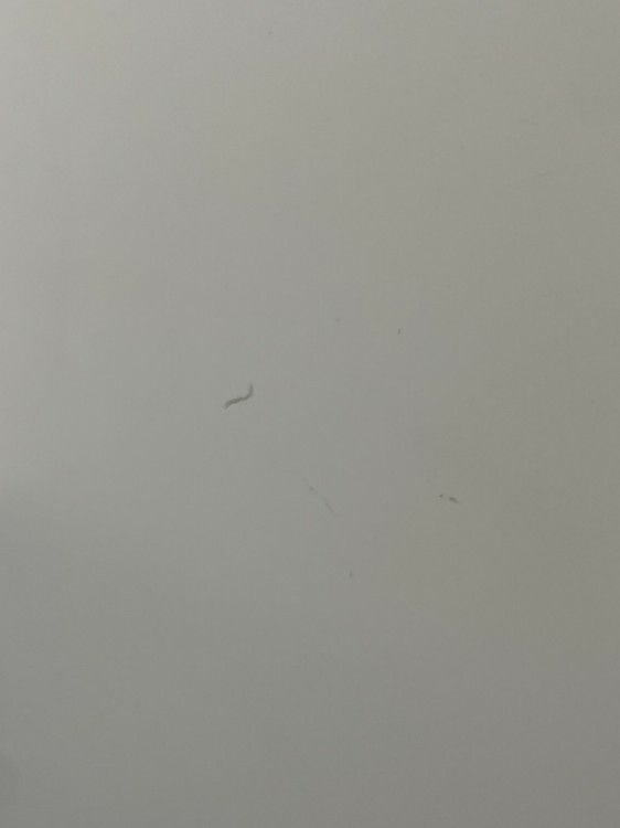 プラスM型ロッカーシリーズ 4人用パーソナルロッカー 商品画像14