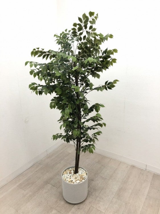 フェイクグリーン 商品画像1