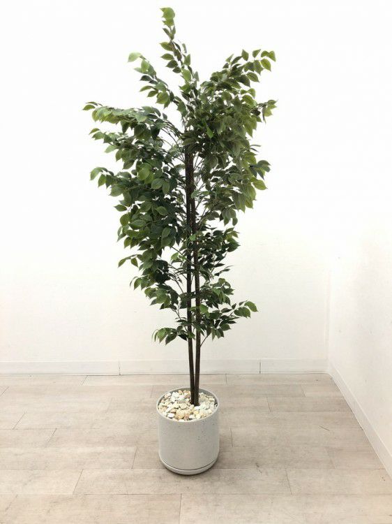 フェイクグリーン 商品画像2