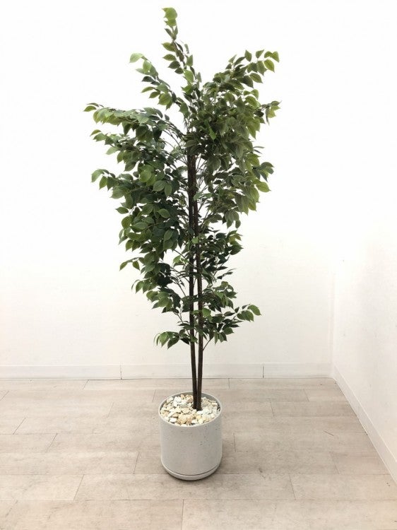 フェイクグリーン 商品画像2