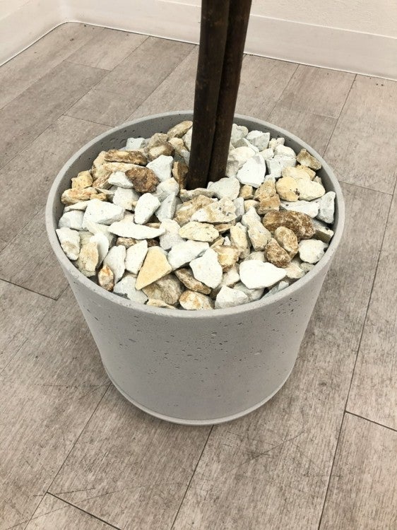 フェイクグリーン 商品画像4